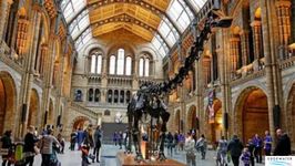 Cover image for Museum Curators and Gallerists Visa