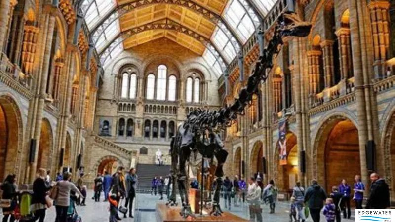 Cover image for Museum Curators and Gallerists Visa